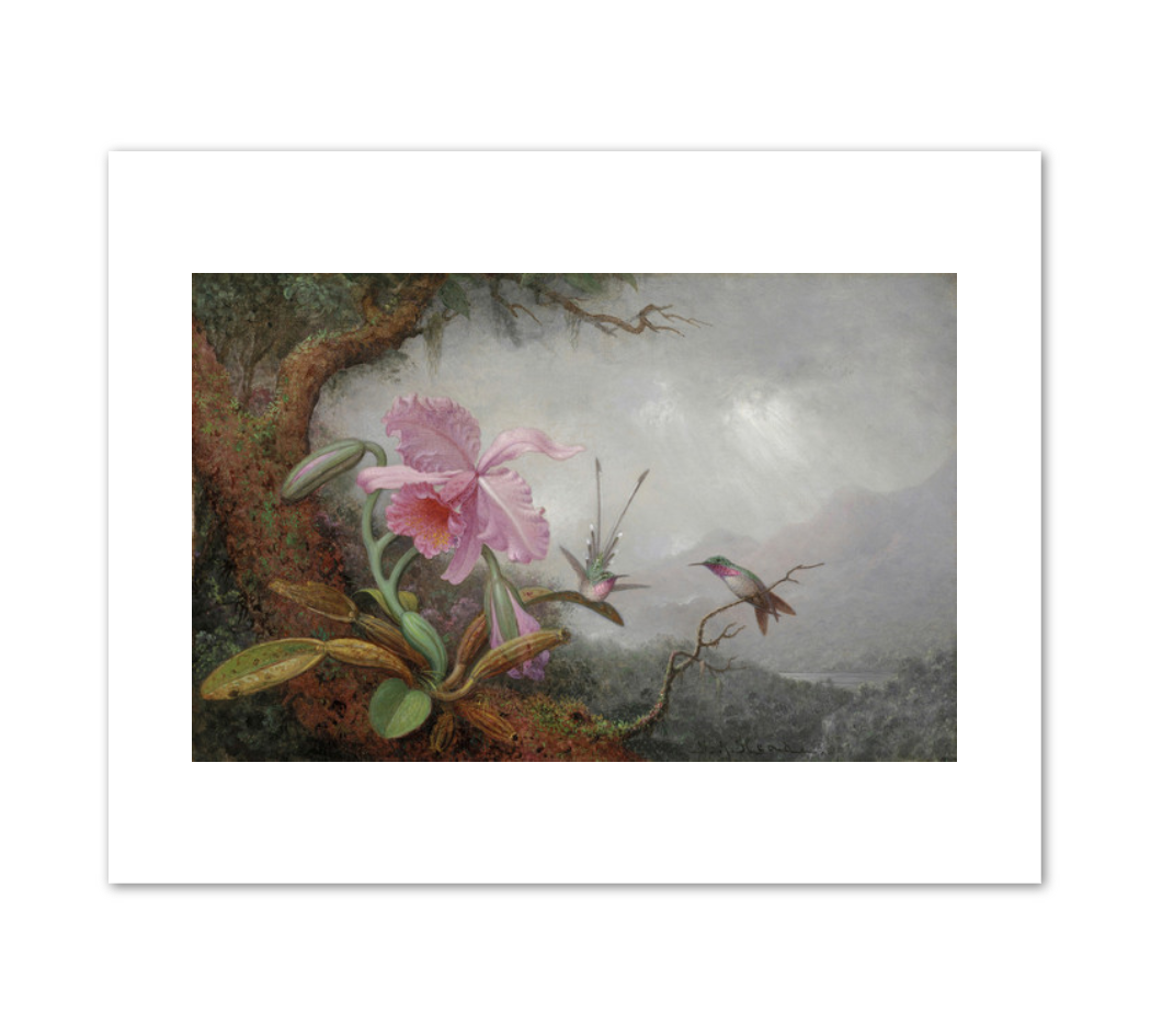 Martin Johnson Heade, Hummingbirds and Orchids, 1880s, Detroit Institute of Arts. Fine Art Prints in various sizes by 1000Artists.com