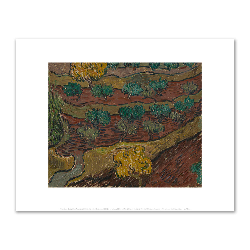 Vincent van Gogh, Olive Trees on a Hillside, November-December 1889, Van Gogh Museum, Amsterdam. Fine Art Prints in various sizes by 1000Artists.com