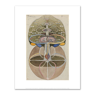 Hilma af Klint, Series W, The Tree of Wisdom, No. 1, 1913, Fine Art prints in various sizes by 1000Artists.com