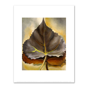 Georgia O'Keeffe, Grey and Brown Leaves, 1929, Fine Art Prints in various sizes by 1000Artists.com