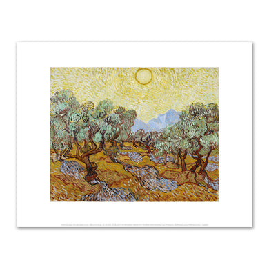 Vincent van Gogh, Olive Trees, 1889, Minneapolis Institute of Art. Fine Art Prints in various sizes by 1000Artists.com