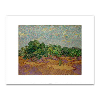 Vincent van Gogh, Olive Trees, 1889, The Metropolitan Museum of Art. Fine Art Prints in various sizes by 1000Artists.com