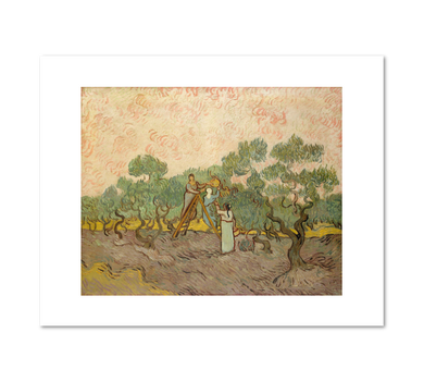 Vincent van Gogh, Women Picking Olives, 1889, Fine Art Prints in various sizes by 1000Artists.com