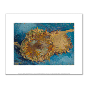 Vincent van Gogh, Sunflowers, 1888, Fine Art Prints in various sizes by 1000Artists.com