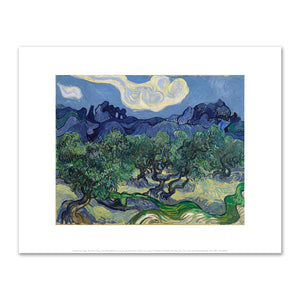 Vincent van Gogh, The Olive Trees, June-July 1889, The Museum of Modern Art. Fine Art Prints in various sizes by 1000Artists.com
