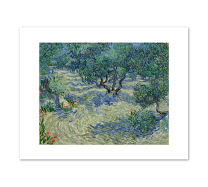 Olive Trees by Vincent van Gogh