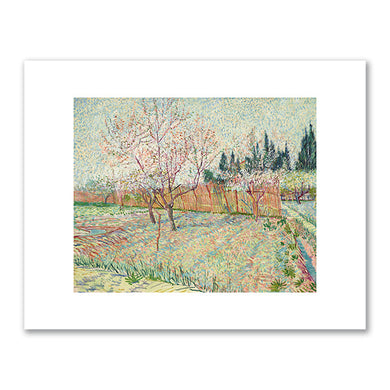 Vincent van Gogh, Orchard with Cypresses, April 1888, Private Collection. Fine Art Prints in various sizes by 1000Artists.com