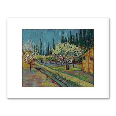 Vincent van Gogh, Orchard Bordered by Cypresses, 1888, Yale University Art Gallery. Fine Art Prints in various sizes by 1000Artists.com