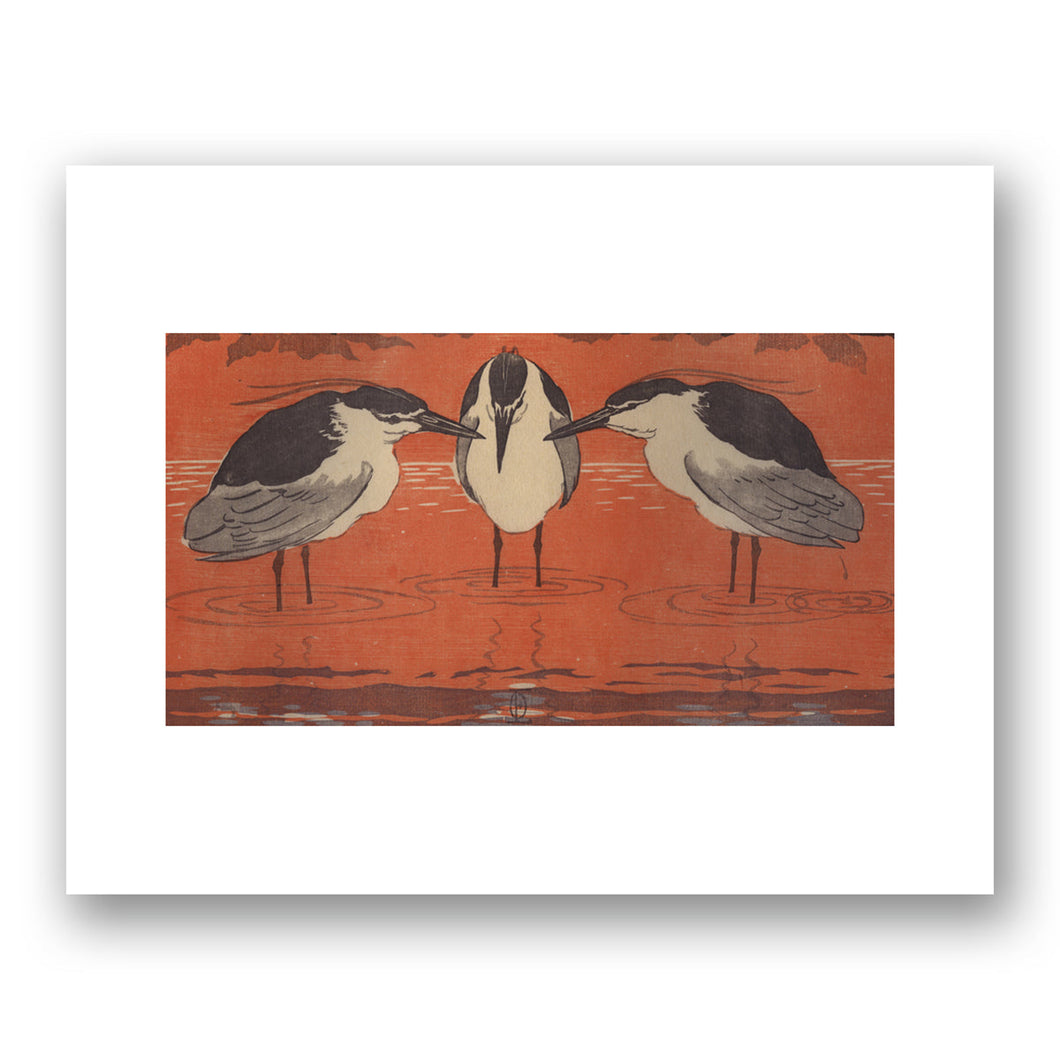 Night Herons by Otto Eckmann