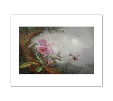 Martin Johnson Heade, Hummingbirds and Orchids, 1880s, Detroit Institute of Arts. Fine Art Prints in various sizes by 1000Artists.com