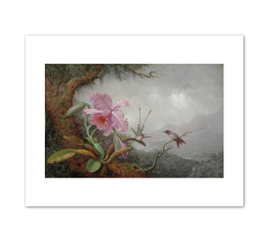 Martin Johnson Heade, Hummingbirds and Orchids, 1880s, Detroit Institute of Arts. Fine Art Prints in various sizes by 1000Artists.com