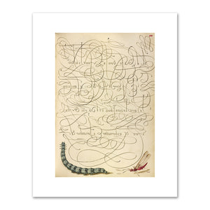 Joris Hoefnagel and Georg Bocskay, Caterpillar and Insect, 1591–1596, J. Paul Getty Museum. Fine Art Prints in various sizes by 1000Artists.com