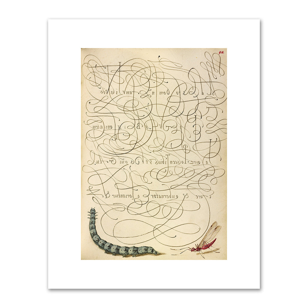 Joris Hoefnagel and Georg Bocskay, Caterpillar and Insect, 1591–1596, J. Paul Getty Museum. Fine Art Prints in various sizes by 1000Artists.com