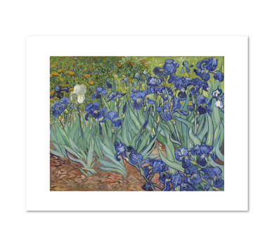 Irises by Vincent van Gogh