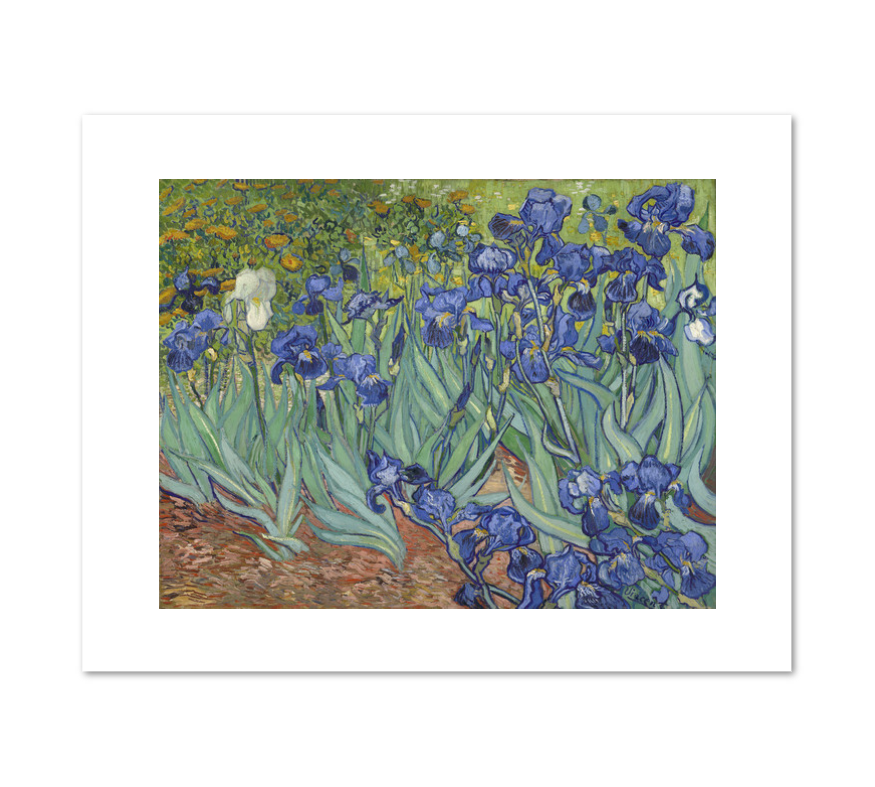 Irises by Vincent van Gogh