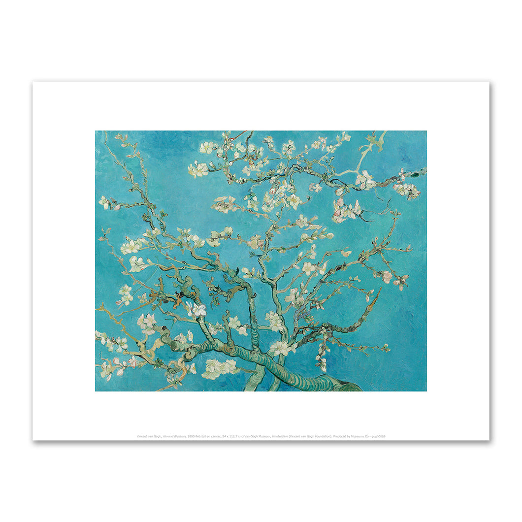 Almond Blossom by Vincent van Gogh