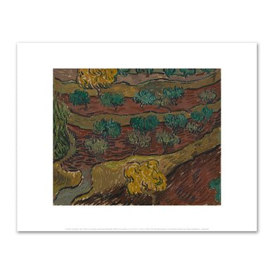 Vincent van Gogh, Olive Trees on a Hillside, November-December 1889, Van Gogh Museum, Amsterdam. Fine Art Prints in various sizes by 1000Artists.com