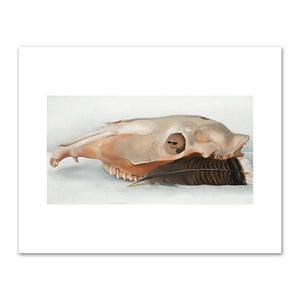 Horizontal Horse's or Mule's Skull with Feather by Georgia O'Keeffe