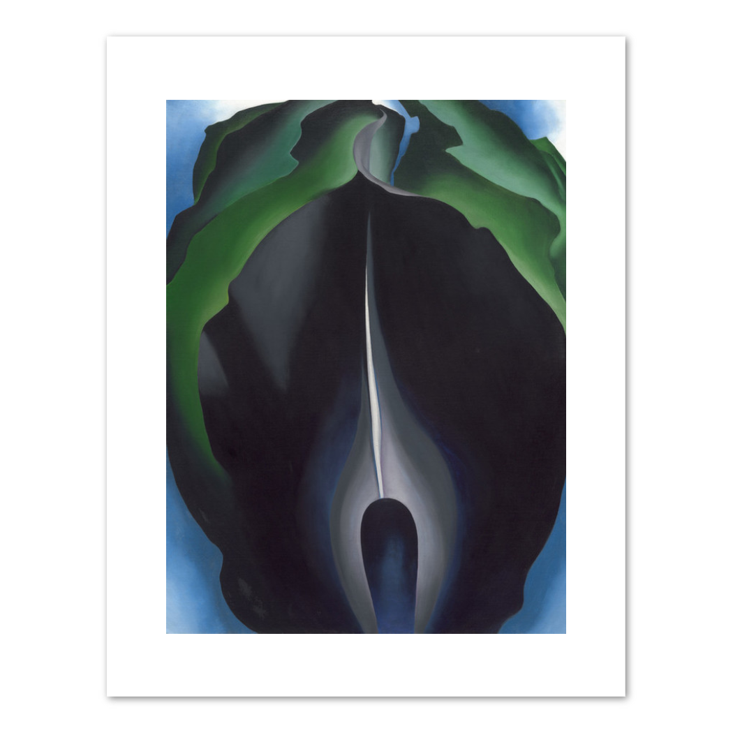 Georgia O'Keeffe, Jack-in-the-Pulpit No. IV, 1930, Fine Art Prints in various sizes by 1000Artists.com