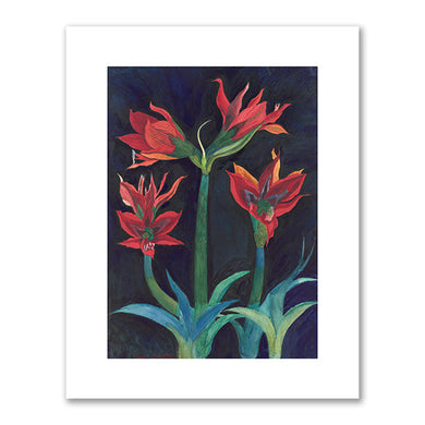 Joseph Stella, Red Amaryllis, c. 1929, Philadelphia Museum of Art. Fine Art Prints in various sizes by 1000Artists.com