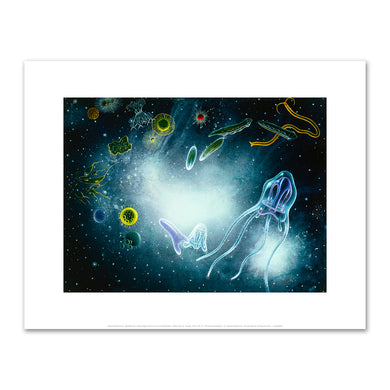 Alexis Rockman, Biosphere: Microorganisms and Invertebrates, 1993, Fine Art Prints in various sizes by 1000Artists.com