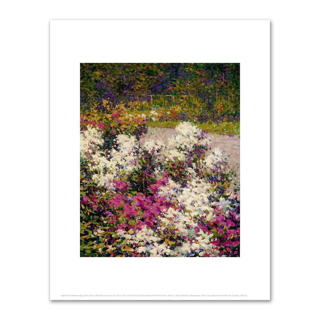 Hugh Henry Breckenridge, White Phlox, 1906, Terra Foundation for American Art. Fine Art Prints in various sizes by 1000Artists.com