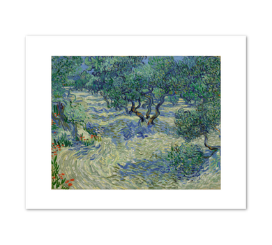 Olive Trees by Vincent van Gogh